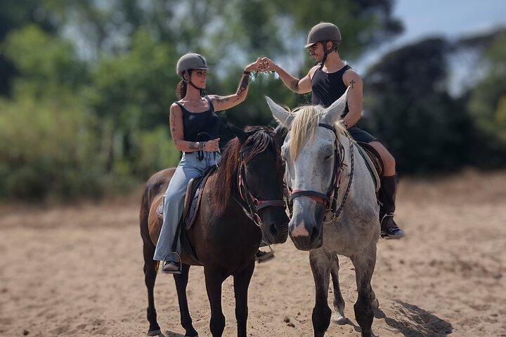 Horse Sanctuary & Trail Ride