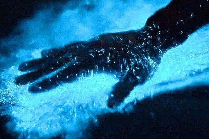 Bioluminescence & sunset local boat tour to Los Arcos Sanctuary