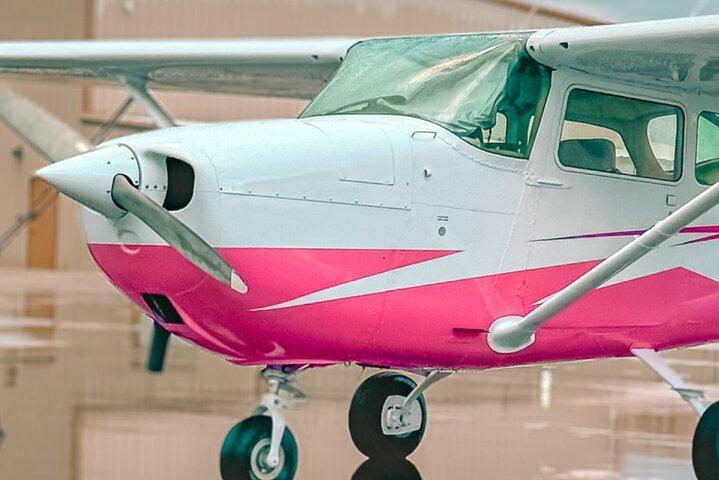 Miami Beach: Luxury Plane Tour with Free Champagne