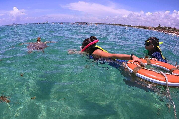 Swim with Turtles in Akumal + GoPro Photo Session