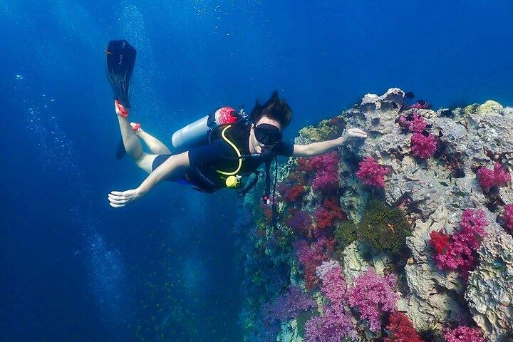 Phuket Scuba Diving Adventure for All Levels with Transfer