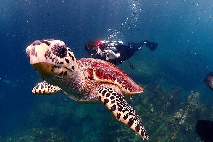 Phuket Scuba Diving Adventure for All Levels with Transfer