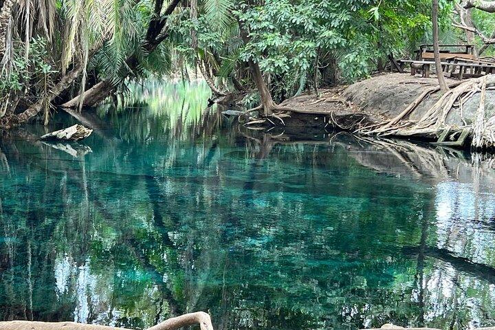 1-Day Materuni Waterfalls, Coffee Tour and Chemka Hot Spring