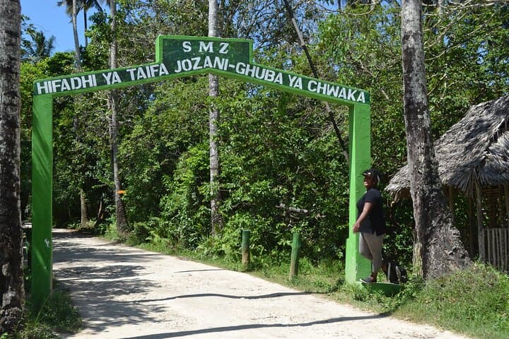 Dolphins +Jozani forest +Kuza cave +Paje beach + Rock restaurant