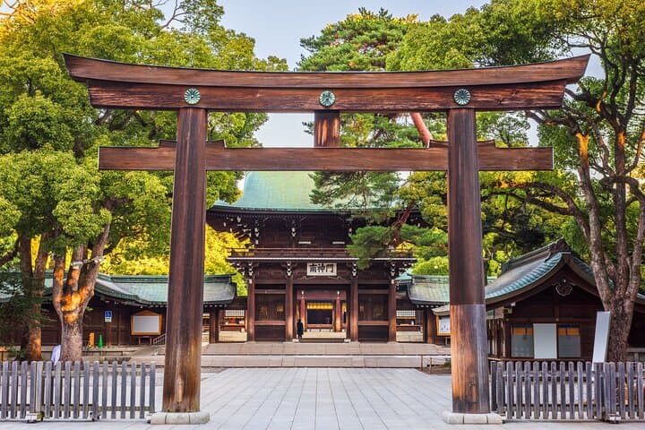 Tokyo Small Group Tour with Guide
