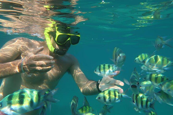 Phuket 3 Khai Island Speedboat With Snorkeling (Half or Full Day)