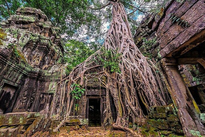 Explore Angkor Sunrise Spectacle a Full Day Temples Tour