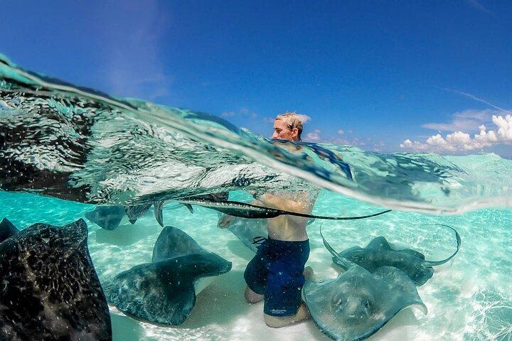 Cayman Adventure Stingrays Starfish plus Crystal Caves