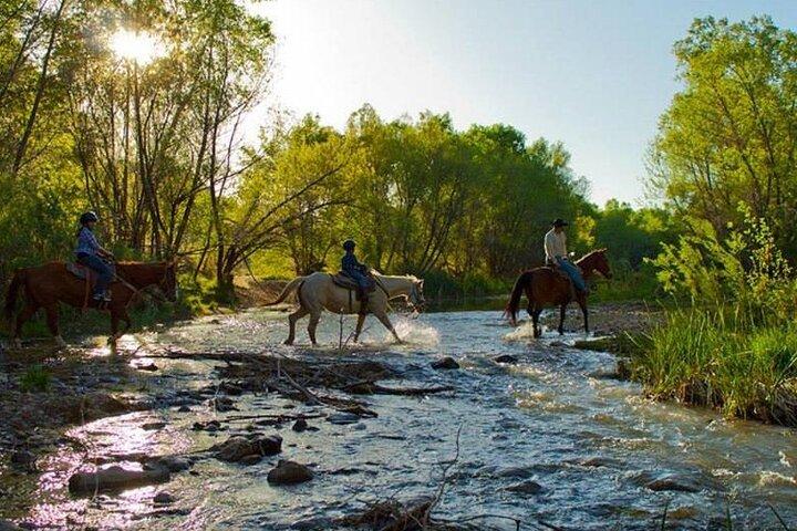 Sedona Horseback Rides At Dead Horse Ranch with River Crossing