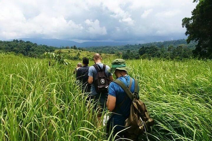 Bangkok: Khao Yai Nature Trails & Heaw Suwat Waterfall