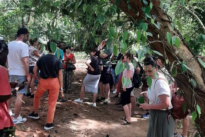 Half Day Spice Tour in Zanzibar