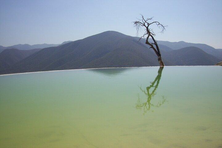 full day tour : Hierve el Agua, Teotitlan, Mezcal, el tule and Mitla