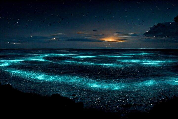 Cayman Bioluminescent Bay Night Tour