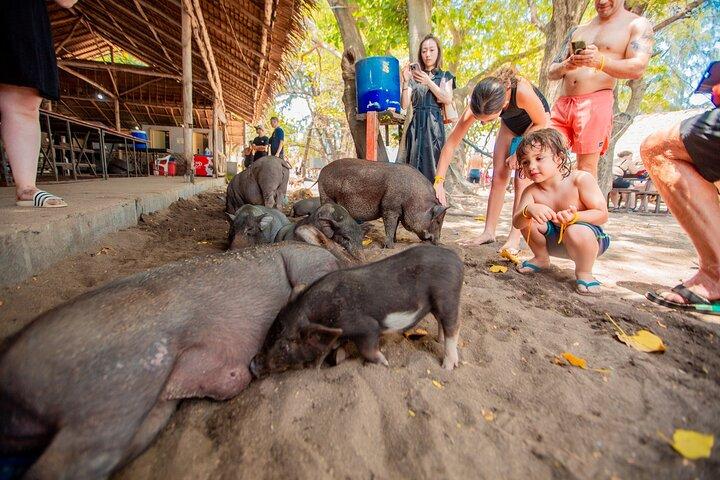 Koh Samui Islands Snorkeling Trip By Speedboat