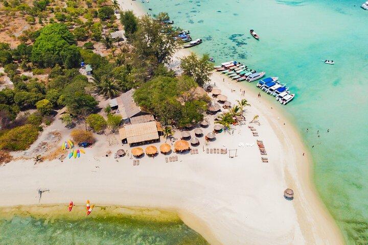 Pig Feeding, Kayaking, Snorkeling Trip at Pig Island By Speedboat From Koh Samui