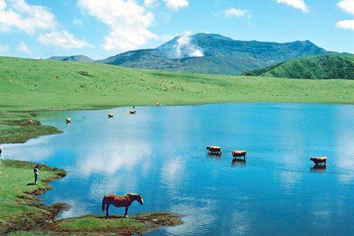 Kyushu: Aso Vocano, Grassland,Onsen and Aso shrine 1-Day Tour