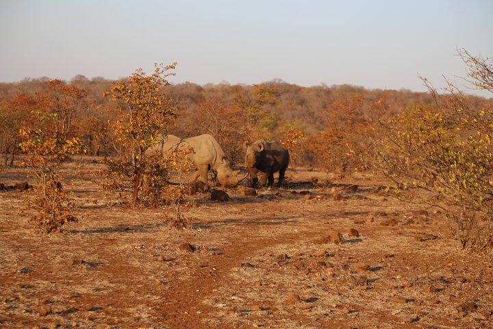 5 Day - Quadruple Package Zimbabwe, Zambia, Botswana & Namibia