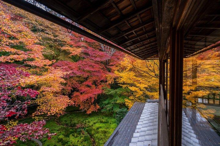 Lake Biwa Shirahige Shrine and Ukimido Day Tour from Osaka, Kyoto
