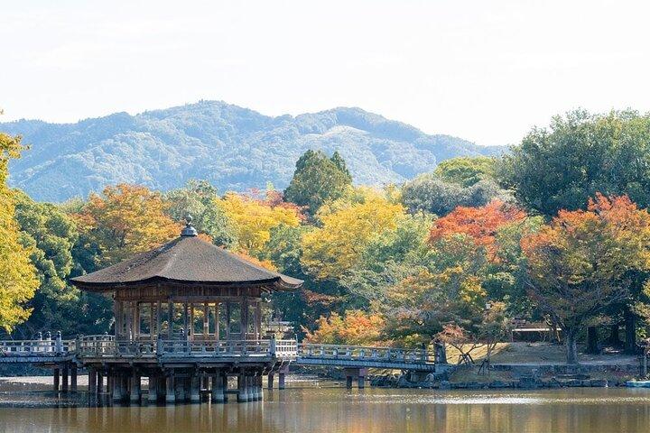 Lake Biwa Shirahige Shrine and Ukimido Day Tour from Osaka, Kyoto