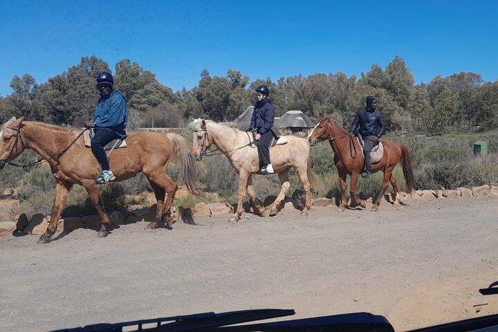 Cape Town Big Five sunset safari With All Inclusive