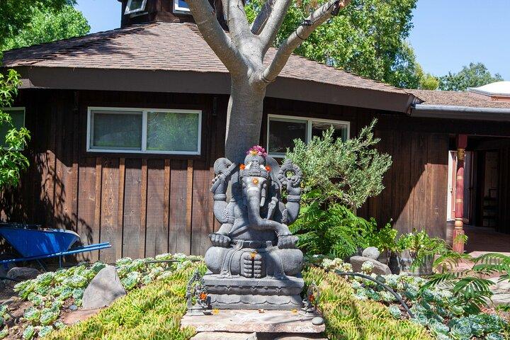 Sonoma Trike and Mindfulness - 3 hour guided tour