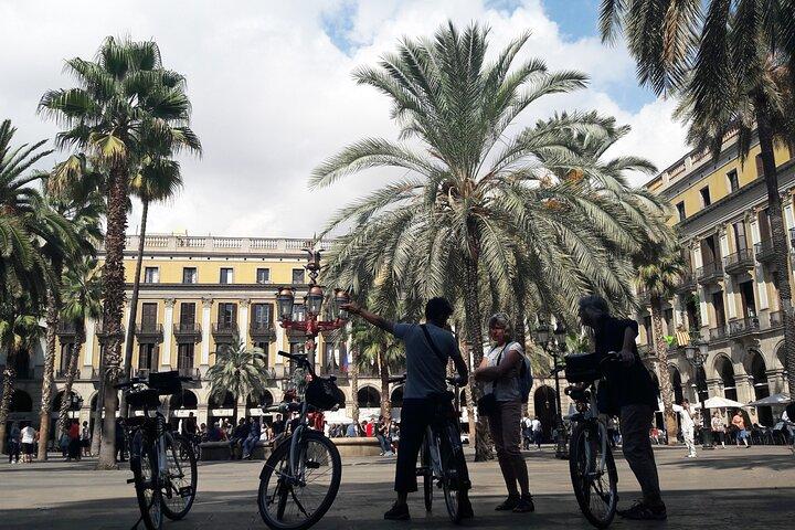 Private Bike or E-bike Tour Starting from your Hotel