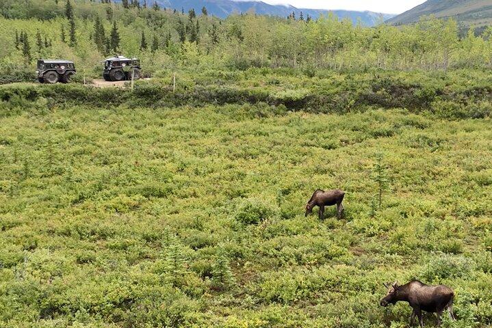 Full Day: Fairbanks to Denali Winter Adventure & SHERP Tour