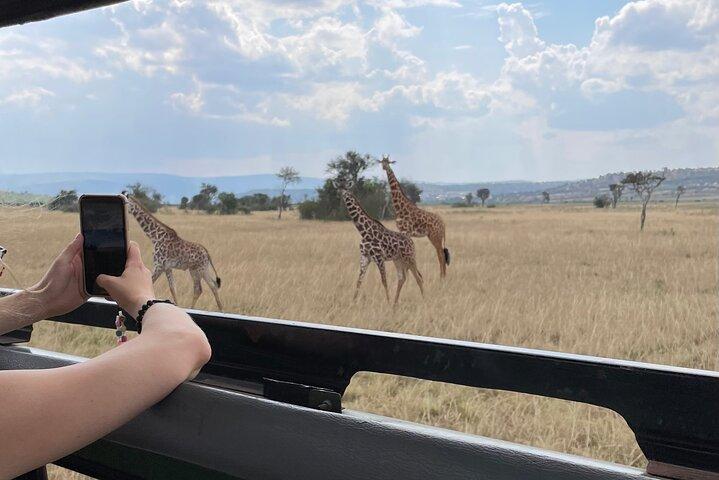 One Day Akagera Wildlife Safari