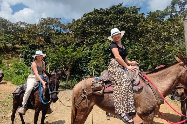 Full-Day Zipline, ATV and Horseback Riding Private Adventure from Medellín