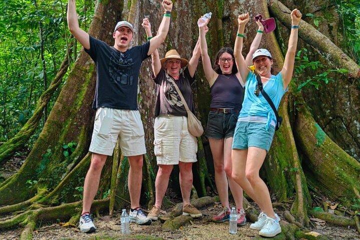 Private Blue Waterfall, Sloth Sanctuary and Coffee Tour Day Trip