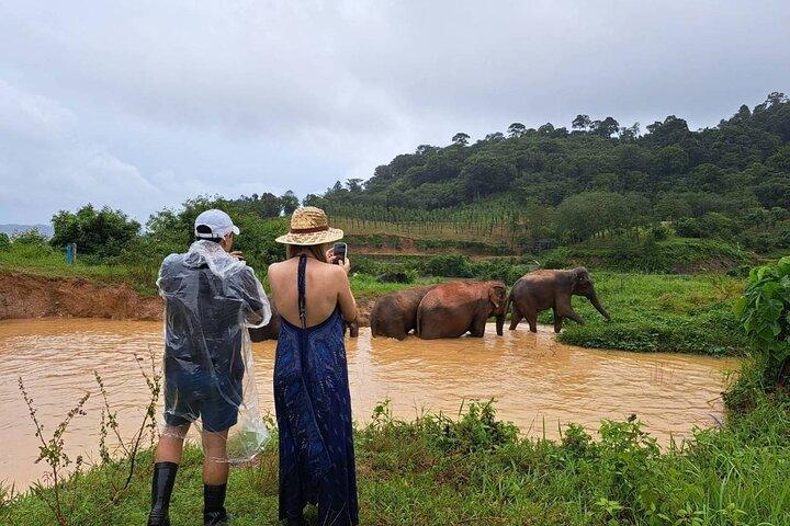 Elephant Nature Experience with Lunch at Bukit Elephant Park