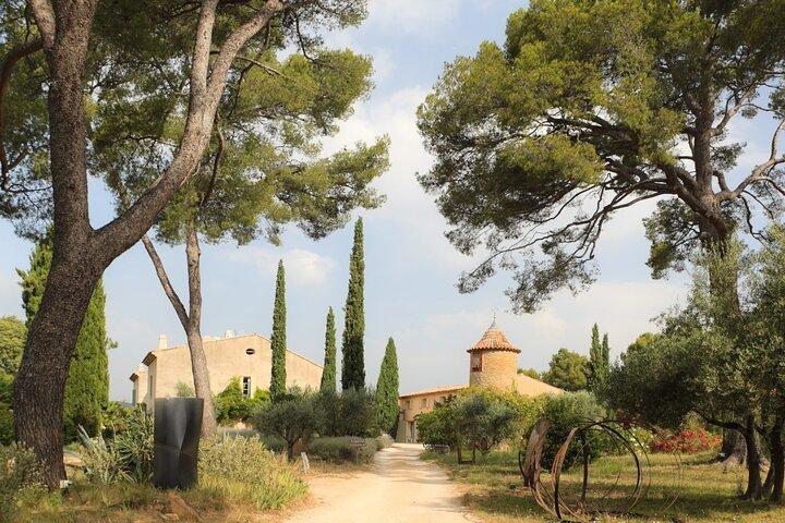Bandol Wine Trip from Toulon & Ports