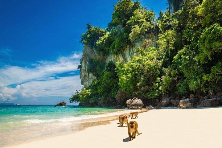 Phi Phi and Bamboo Island by Speed Boat from Phuket