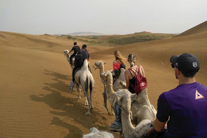 Inner Mongolia Hohhot 1Day Kubuqi Desert (Whistling Dune Bay)Tour
