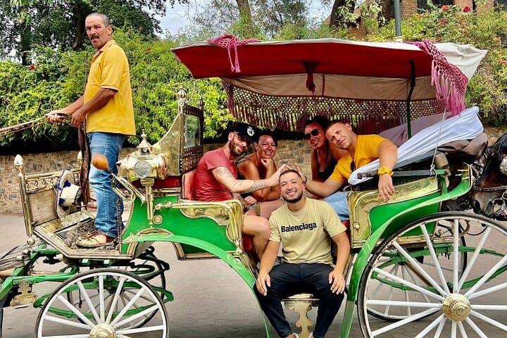 Horse and Carriage Ride with Majorelle Garden