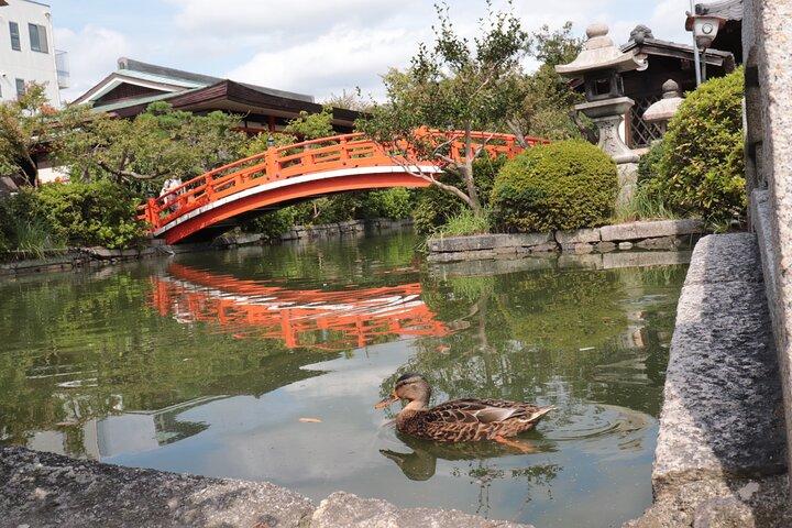 Exploring the Culture of Shogun and Samurai Shared Tour