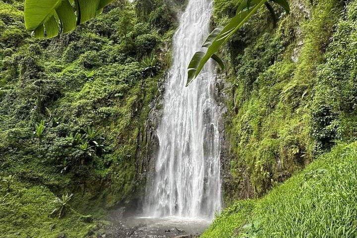 Materuni Waterfalls & Coffee Tour with Optional Hot Springs