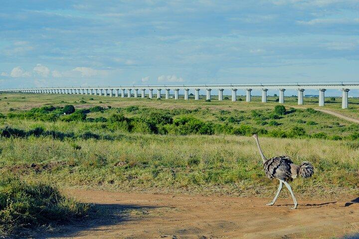 4WD Nairobi Sightseeing Shared