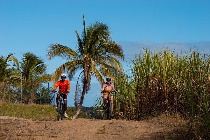 Nadi E-Bike Adventure: Discover Fiji's Hidden Sugarcane Farmland