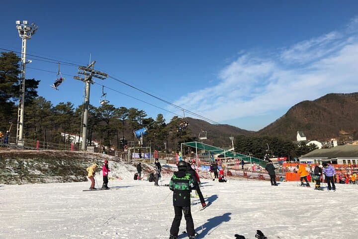 Jisan Forest Ski Resort and Everland 1 Day Tour
