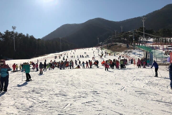 Jisan Forest Ski Resort and Everland 1 Day Tour