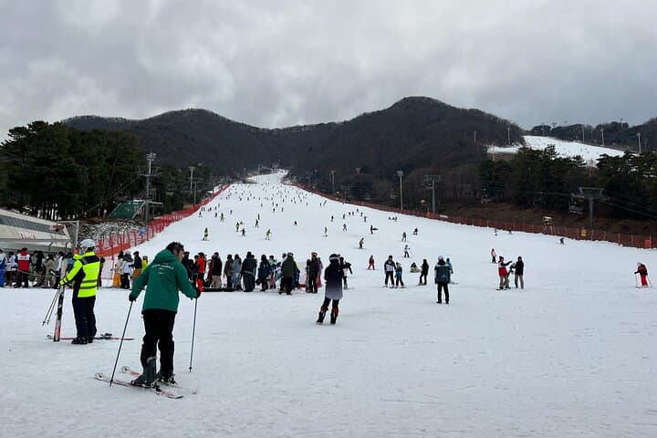 Jisan Forest Ski Resort and Everland 1 Day Tour