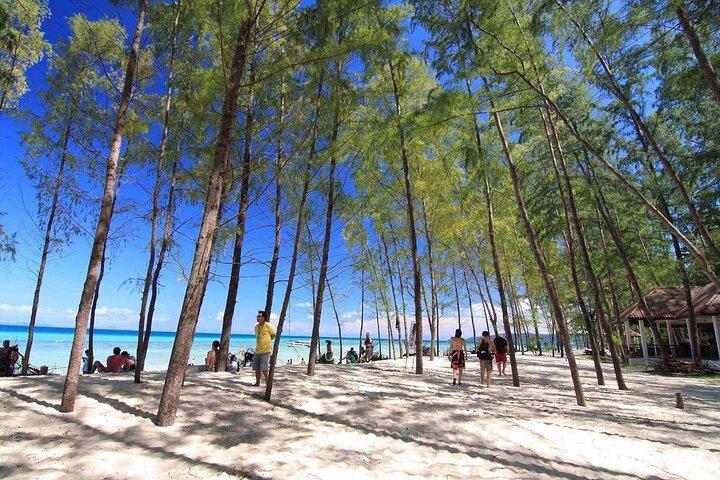 Phi Phi and Bamboo Island by Speed Boat from Phuket