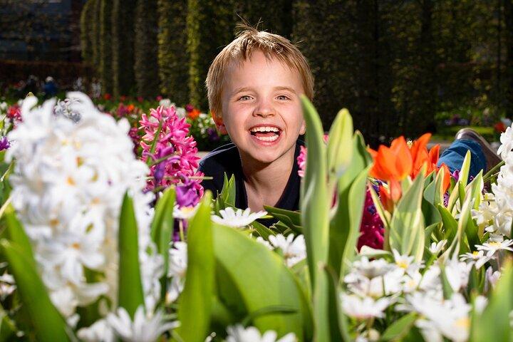 Keukenhof Day Trip from Rotterdam Cruise Terminal & City Center