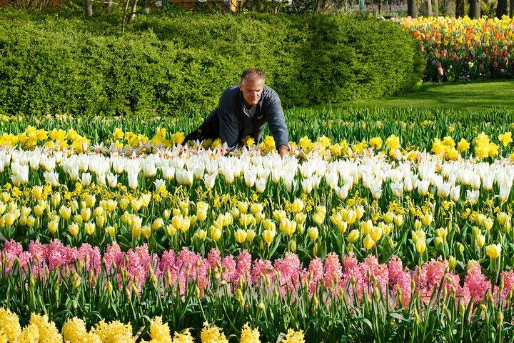 Keukenhof Day Trip from Rotterdam Cruise Terminal & City Center