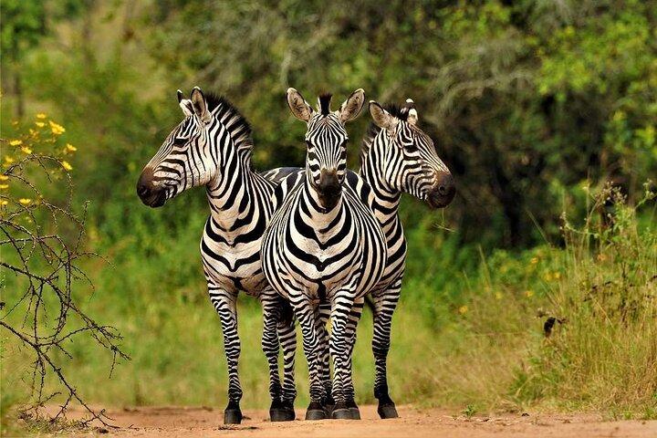 2-Nights Mokoro Camping Trip in the Okavango Delta