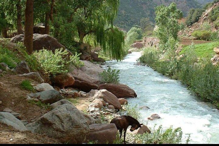 Mountain Atlas, Ourika Valley, Waterfall with Guide