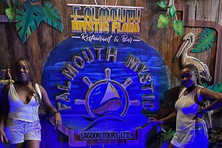 Luminous Lagoon Glistening Waters Tour from Montego Bay Jamaica