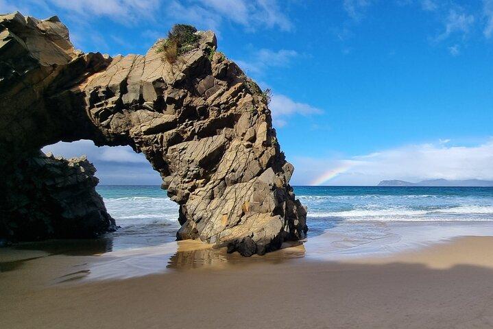 Hobart: Bruny Island Adventure: Hiking, Highlights & Local tastes