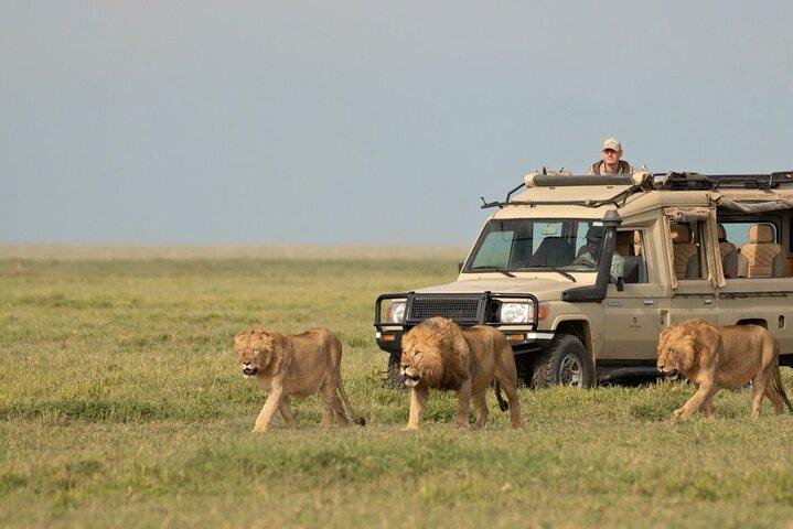 Nairobi National Park Game Drive Tour With Transfer